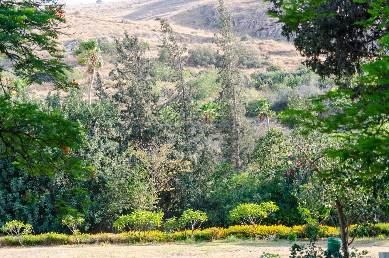 Bait Alfa Kibbutz Country Lodging Bet Alfa Rum bild